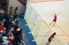 Filename=Tabor_Squash_7895.jpg
Filesize=115KiB
Dimensions=864x576
Date added=Jan 09, 2013 Tabor_Squash_7895.jpg