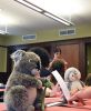 Filename=TeddyBearPic_5063-001.jpg
Filesize=102KiB
Dimensions=597x720
Date added=Jul 26, 2017 TeddyBearPic_5063-001.jpg