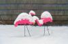 Filename=TeresaDall_Snow1.jpg
Filesize=134KiB
Dimensions=1109x720
Date added=Feb 24, 2021 TeresaDall_Snow1.jpg