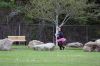 Filename=Tiara5K_7127.jpg
Filesize=281KiB
Dimensions=1080x720
Date added=May 15, 2019 Tiara5K_7127.jpg