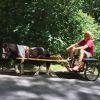 Filename=Tonto.jpg
Filesize=198KiB
Dimensions=720x720
Date added=Aug 02, 2017 Tonto.jpg
