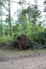 Tornado-Mick-081023-24_05.jpg