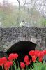 Filename=TourCreme_7096.jpg
Filesize=131KiB
Dimensions=480x720
Date added=May 22, 2019 TourCreme_7096.jpg