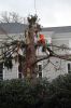 Filename=Tree-Mick-020223-11_51_30.jpg
Filesize=121KiB
Dimensions=480x720
Date added=Feb 01, 2023 Tree-Mick-020223-11_51_30.jpg