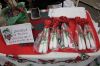 Filename=Trees-MC-Candles.jpg
Filesize=211KiB
Dimensions=1080x720
Date added=Dec 01, 2021 Trees-MC-Candles.jpg