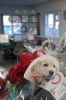 Filename=Trees-MC-Dog.jpg
Filesize=62KiB
Dimensions=480x720
Date added=Dec 01, 2021 Trees-MC-Dog.jpg