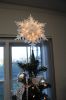 Filename=Trees-MC-Star.jpg
Filesize=66KiB
Dimensions=480x720
Date added=Dec 01, 2021 Trees-MC-Star.jpg