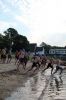 Filename=Triathlon_7904.jpg
Filesize=101KiB
Dimensions=480x720
Date added=Jul 17, 2019 Triathlon_7904.jpg