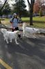 Filename=TurkeyTrot_4557.jpg
Filesize=149KiB
Dimensions=482x720
Date added=Nov 21, 2018 TurkeyTrot_4557.jpg