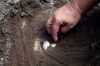 Filename=Turtle_Dirt.jpg
Filesize=339KiB
Dimensions=1200x800
Date added=Aug 22, 2012 Turtle_Dirt.jpg