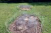 Filename=Turtle_Nests.jpg
Filesize=468KiB
Dimensions=1200x800
Date added=Aug 22, 2012 Turtle_Nests.jpg