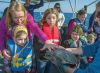Filename=Turtles_1708186.jpg
Filesize=114KiB
Dimensions=648x475
Date added=Jan 14, 2015 Turtles_1708186.jpg