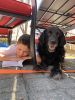 Filename=UpTo_Heather-Leclair-Perez-Reading-outside-on-this-beautiful-day.jpg
Filesize=114KiB
Dimensions=540x720
Date added=Apr 01, 2020 UpTo_Heather-Leclair-Perez-Reading-outside-on-this-beautiful-day.jpg