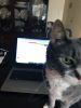 Filename=UpTo_Jillian-Oliveira_Working-from-Home.jpg
Filesize=46KiB
Dimensions=540x720
Date added=Apr 01, 2020 UpTo_Jillian-Oliveira_Working-from-Home.jpg