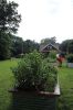 Filename=Veg-Gardens-082224-Mick-536.jpg
Filesize=108KiB
Dimensions=480x720
Date added=Aug 21, 2024 Veg-Gardens-082224-Mick-536.jpg