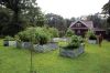 Filename=Veg-Gardens-082224-Mick-544.jpg
Filesize=305KiB
Dimensions=1080x720
Date added=Aug 21, 2024 Veg-Gardens-082224-Mick-544.jpg