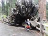 Filename=WW_SouthernKingsCanyon.jpg
Filesize=118KiB
Dimensions=648x486
Date added=Aug 27, 2014 WW_SouthernKingsCanyon.jpg
