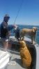 Filename=Weekend_Shi-Major-.jpg
Filesize=55KiB
Dimensions=405x720
Date added=Jun 03, 2020 Weekend_Shi-Major-.jpg