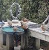 Filename=Winter-Robins.jpg
Filesize=178KiB
Dimensions=716x720
Date added=Jan 24, 2024 Winter-Robins.jpg