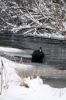Filename=Winter_8565.jpg
Filesize=95KiB
Dimensions=480x720
Date added=Jan 10, 2018 Winter_8565.jpg