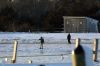 Filename=Winter_8589.jpg
Filesize=194KiB
Dimensions=1080x720
Date added=Jan 10, 2018 Winter_8589.jpg