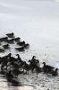 Filename=Winter_8608.jpg
Filesize=92KiB
Dimensions=480x720
Date added=Jan 10, 2018 Winter_8608.jpg