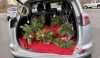 Filename=Wreath-1.jpg
Filesize=309KiB
Dimensions=1237x720
Date added=Dec 08, 2021 Wreath-1.jpg