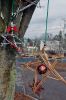 Filename=Wreath_0016.jpg
Filesize=200KiB
Dimensions=648x972
Date added=Dec 03, 2014 Wreath_0016.jpg