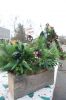 Filename=Wreaths_3839.jpg
Filesize=99KiB
Dimensions=479x720
Date added=Dec 02, 2015 Wreaths_3839.jpg