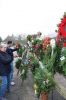 Filename=Wreaths_3843.jpg
Filesize=112KiB
Dimensions=479x720
Date added=Dec 02, 2015 Wreaths_3843.jpg