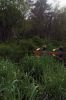 Filename=boat-race-0115.jpg
Filesize=200KiB
Dimensions=648x976
Date added=May 29, 2014 boat-race-0115.jpg