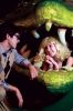 Filename=little-shop-32.jpg
Filesize=410KiB
Dimensions=1200x1807
Date added=Nov 03, 2010 little-shop-32.jpg