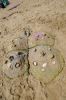 Filename=matbeachopen-37.jpg
Filesize=372KiB
Dimensions=800x1204
Date added=Jun 26, 2013 matbeachopen-37.jpg