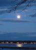 Filename=moon1_0112.jpg
Filesize=226KiB
Dimensions=1200x1644
Date added=Jan 18, 2012 moon1_0112.jpg