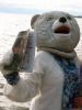 Filename=polarplungefp3.jpg
Filesize=75KiB
Dimensions=540x720
Date added=Jan 07, 2016 polarplungefp3.jpg