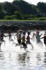 Filename=triathlon3_0714.jpg
Filesize=507KiB
Dimensions=1200x1800
Date added=Jul 13, 2011 triathlon3_0714.jpg