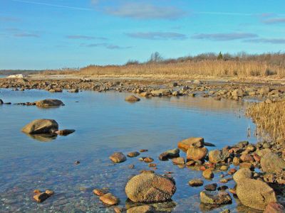 Mattapoisett Thanksgiving Walk
The Mattapoisett Land Trust recently hosted a walk through the wilds of Brandt Island Cove led by Land Trust member Ruth Bates. The walk offered participants the opportunity to trek through land parcels the organization has proposed to acquire. Ms. Bates guided about two dozen hikers through the thickets and meadows of the Trusts Ferreira Preserve to the salt marshes along Brandt Island Cove. (Photo by Robert Chiarito).
