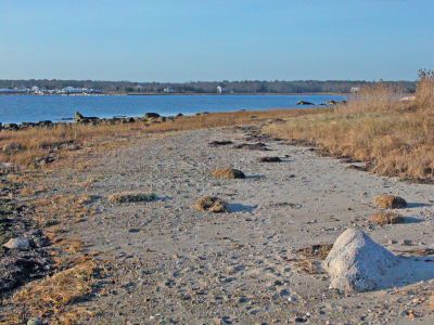 Mattapoisett Thanksgiving Walk
The Mattapoisett Land Trust recently hosted a walk through the wilds of Brandt Island Cove led by Land Trust member Ruth Bates. The walk offered participants the opportunity to trek through land parcels the organization has proposed to acquire. Ms. Bates guided about two dozen hikers through the thickets and meadows of the Trusts Ferreira Preserve to the salt marshes along Brandt Island Cove. (Photo by Robert Chiarito).
