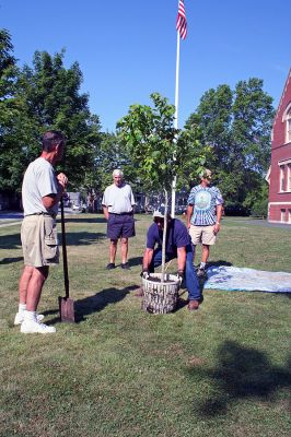 Executive Branches
Members of the Mattapoisett Tree Planting Committee help plant a red maple tree donated by Deborah Smiley and her husband, Sam Ogle, at Center School in Mattapoisett. The historic tree was raised from seed taken from a red maple that still grows at the Mansion House Farm at Mount Vernon  the estate home of our first President, George Washington. (Photo by Robert Chiarito).
