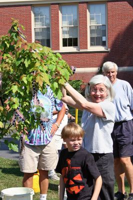 Executive Branches
Deborah Smiley ties a red, white and blue ribbon to the red maple tree she and her husband, Sam Ogle, donated to be planted at Center School in Mattapoisett. The sapling was raised from seed taken from a red maple that still grows at the Mansion House Farm at Mount Vernon  the estate home of our first President, George Washington. (Photo by Robert Chiarito).
