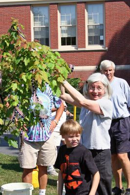 Executive Branches
Deborah Smiley ties a red, white and blue ribbon to the red maple tree she and her husband, Sam Ogle, donated to be planted at Center School in Mattapoisett. The sapling was raised from seed taken from a red maple that still grows at the Mansion House Farm at Mount Vernon  the estate home of our first President, George Washington. (Photo by Robert Chiarito).
