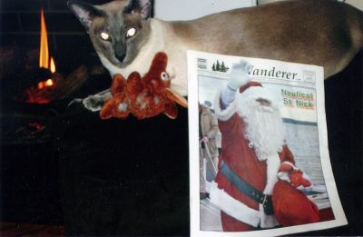 Cat's Eye
Cheena Nadeau poses with her favorite toy, a stuffed aardvark from The Wanderer, while also enjoying a recent issue relaxing by the fire. (01/29/09 issue)
