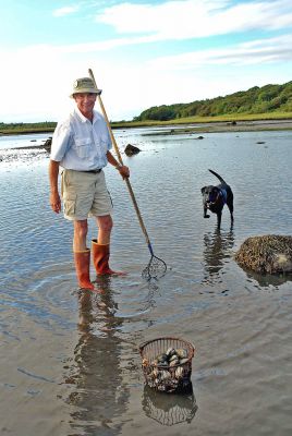 Shellfishing in Season
Horace Field, Mattapoisetts Assistant Harbormaster and Deputy Shellfish Warden, and his lab Bonnie enjoy an afternoon of quahogging along a Mattapoisett beach. As of October 15 you can also harvest scallops (through April 1). Quahogging can be done anytime with a shellfishing permit from the Mattapoisett Town Hall. Bonnie digs quahogs, too, under her masters permit! (Photo by and courtesy of Laura McLean).
