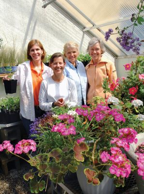 Springtime in Bloom
Members of the Garden Club of Buzzards Bay prepare for their annual plant sale to be held Saturday, May 17 from 9:00 am to 12:00 noon at St. Marys Church Parish Center, 783 Dartmouth Street in South Dartmouth. Pictured (from left) are Leslie Bernert, Dr. Gail Davidson, and Agnes Armstrong of South Dartmouth and Ellie Smith of Mattapoisett standing among some of the flowers to be featured at the sale. (Photo by Laura McLean.)
