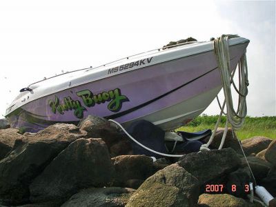 Bird Boat
This cigarette boat literally "flew" onto Bird Island in Marion on Thursday night, August 2. According to the Marion Harbormaster's office, no one was injured in the mishap and the boat has since been removed from the island. (Photo courtesy of Debbie Druan).
