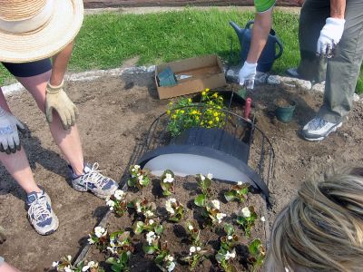 Logo Planting
On Saturday, May 26, members of the town's 150th Birthday Garden Club planted a special 150th birthday garden at the Town Wharf.  The garden that they created is a planted recreation of the logo for the town's birthday. (Photo by Danny White).

