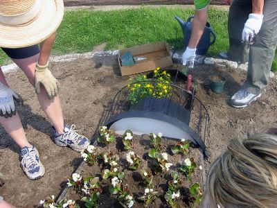 Logo Planting
On Saturday, May 26, members of the town's 150th Birthday Garden Club planted a special 150th birthday garden at the Town Wharf.  The garden that they created is a planted recreation of the logo for the town's birthday. (Photo by Danny White).

