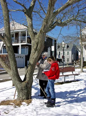 Tabulating Trees
Deborah Smiley, a member of Mattapoisetts Tree Committee, measures trees in Shipyard Park as part of her study on trees in the towns village. She is assisted by ORR eighth grader Olivia McLean, who is doing the work as community service. (Photo by Laura McLean).
