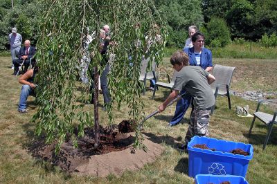 COA Memorial Tree Planting
Christian Brown, grandson of the late Harry Brown Jr., shovels mulch onto the tree dedicated in his grandfather's memory on the grounds of the Rochester Senior Center. (Photo by Kenneth J. Souza).
