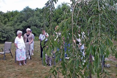 COA Memorial Tree Planting
Helena Brown, widow of the late Harry Brown Jr., stands surrounded by her family as a tree planted in her husband's memory is dedicated on the grounds of the Rochester Senior Center. (Photo by Kenneth J. Souza).
